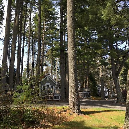 Pine Grove Cottages Lincolnville Dış mekan fotoğraf