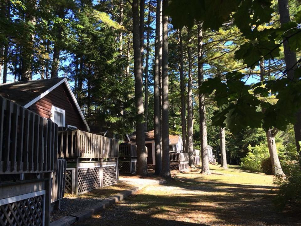 Pine Grove Cottages Lincolnville Dış mekan fotoğraf