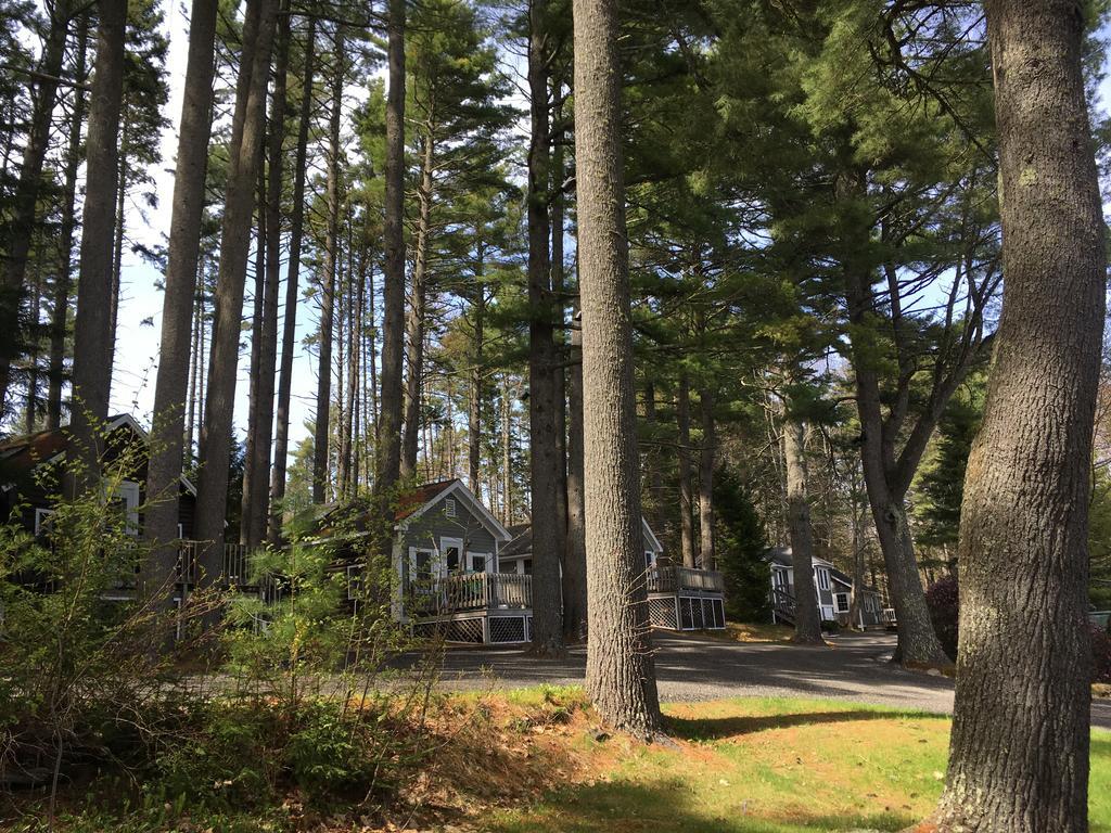 Pine Grove Cottages Lincolnville Dış mekan fotoğraf